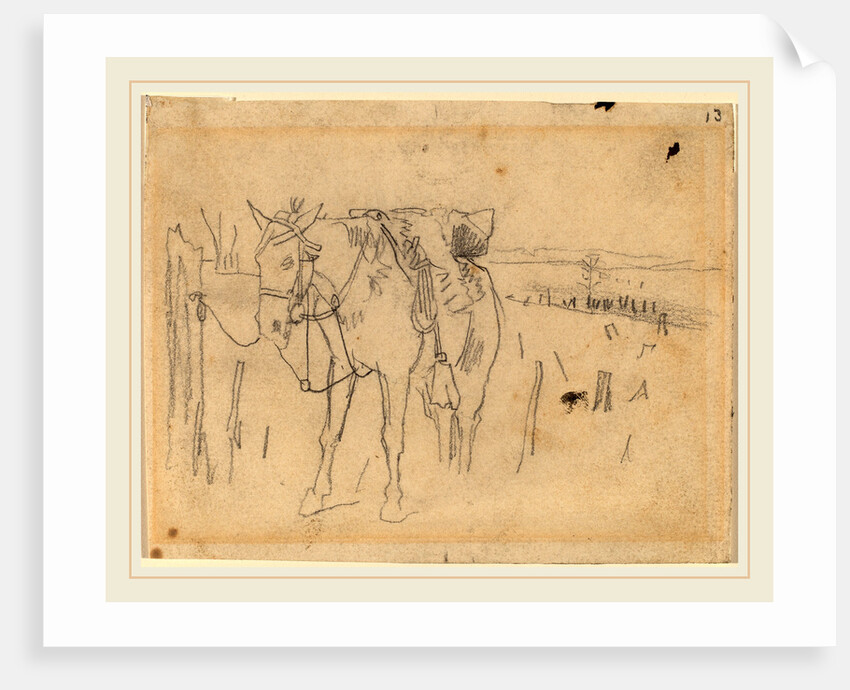 Tethered by Winslow Homer