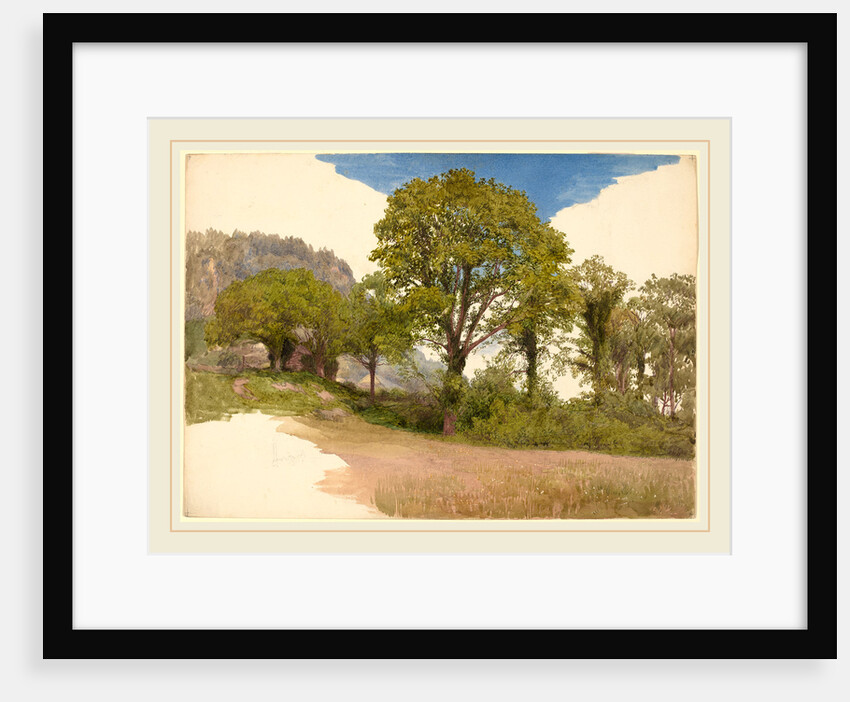 Trees Profiled against the Sky by John Henry Hill