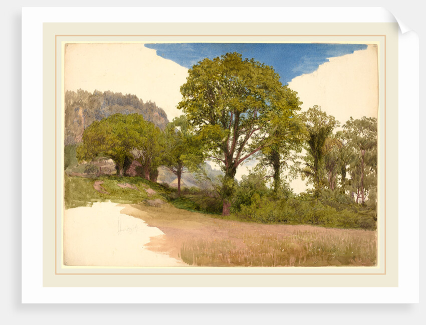 Trees Profiled against the Sky by John Henry Hill