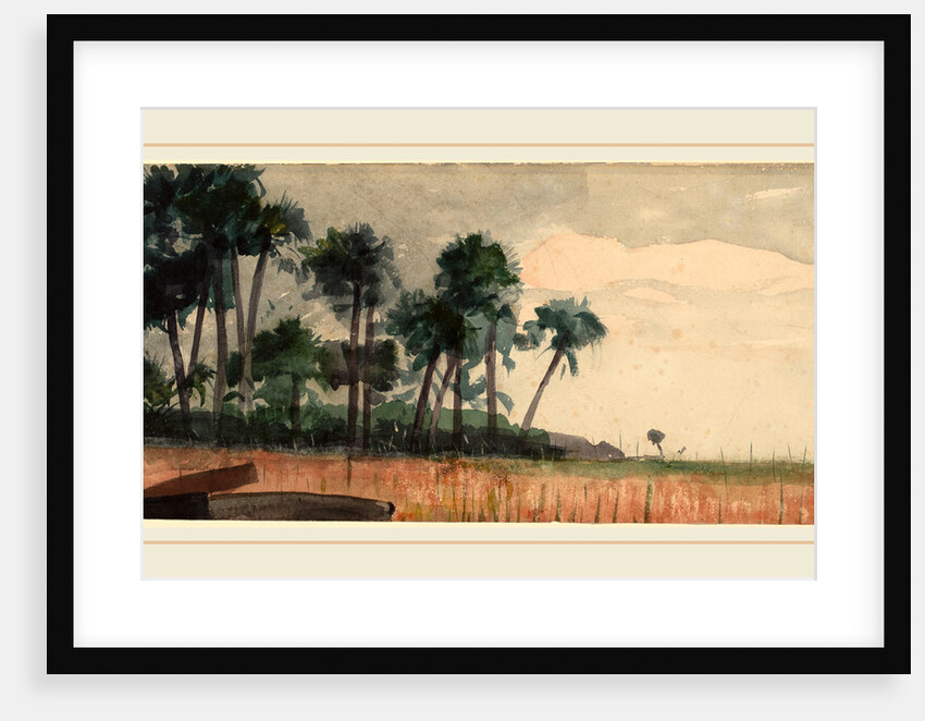 Palm Trees, Red by Winslow Homer