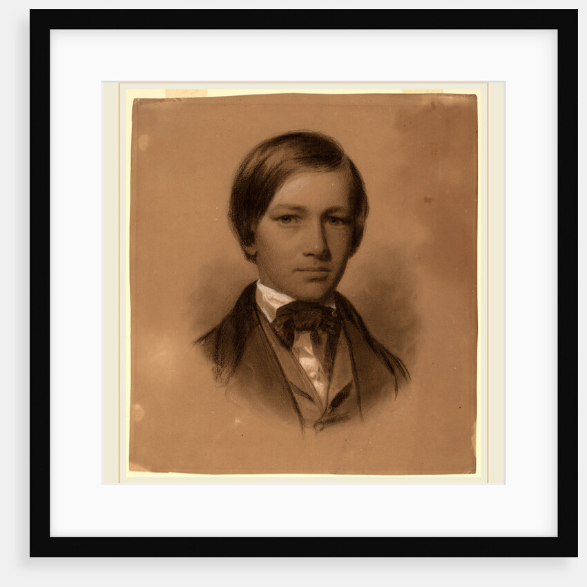 Portrait of a Young Man by Eastman Johnson
