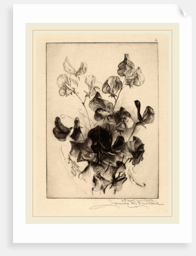 Sweet Peas by James David Smillie