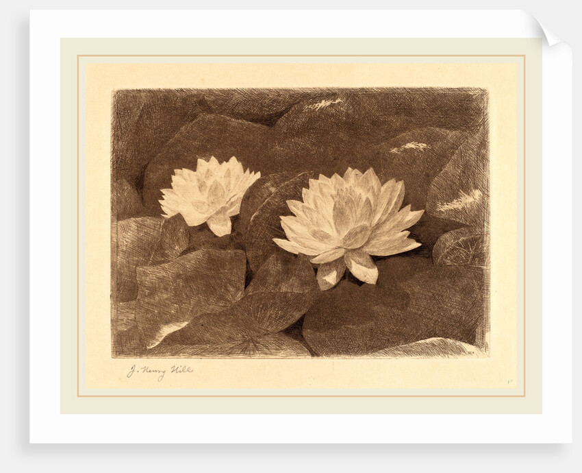 Waterlilies by John Henry Hill