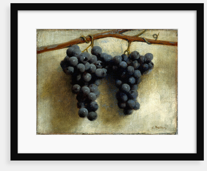 Grapes by Joseph Decker