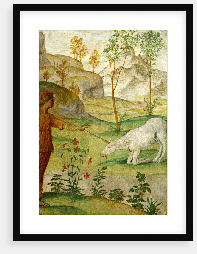 Procris and the Unicorn by Bernardino Luini