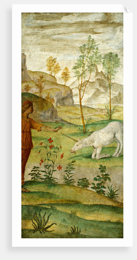 Procris and the Unicorn by Bernardino Luini