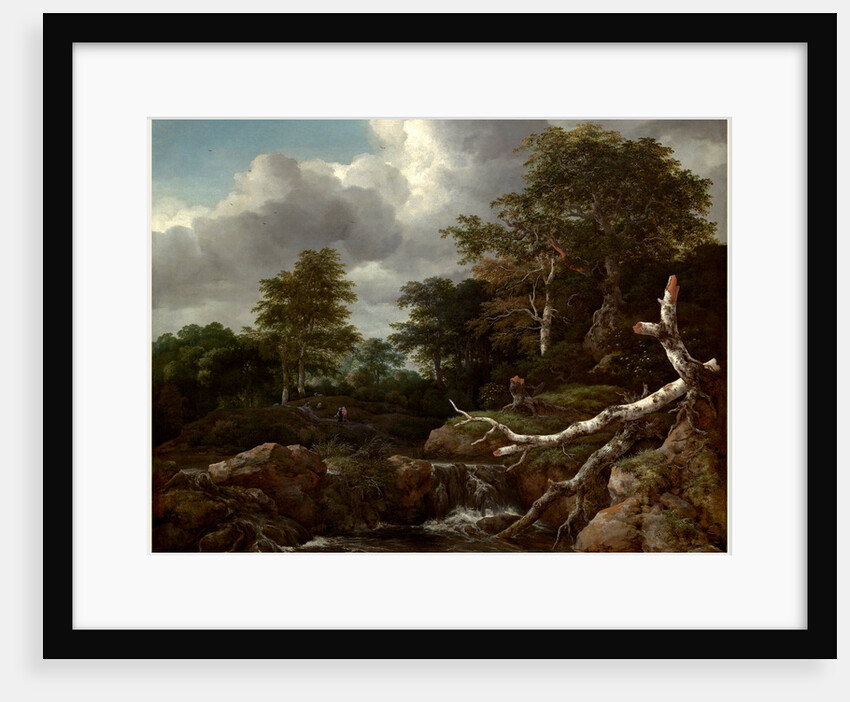 Dutch, Forest Scene, c. 1655 by Jacob van Ruisdael