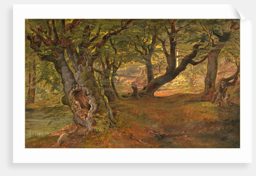 View of Bregentved Forest, Sjaeeland, mid 1830s by Frederik Sødring