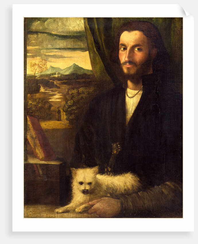Italian, Portrait of a Man with a Dog, c. 1520 by Cariani