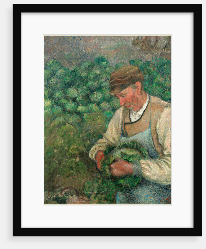 The Gardener-Old Peasant with Cabbage by Camille Pissarro