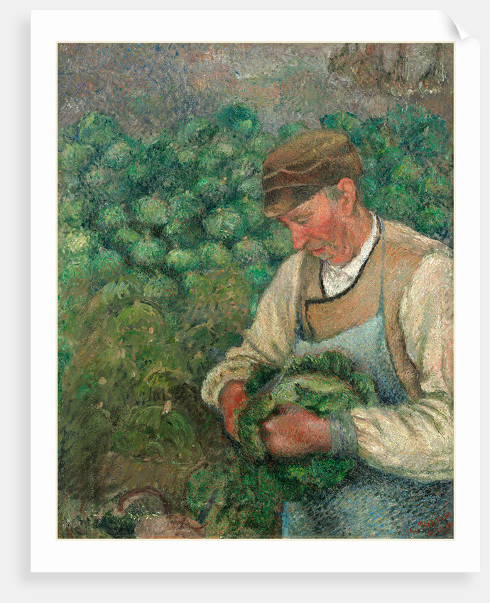 The Gardener-Old Peasant with Cabbage by Camille Pissarro