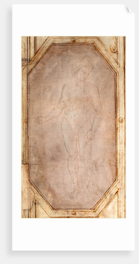 Italian, Standing Nude Youth, c. 1496 by Filippino Lippi