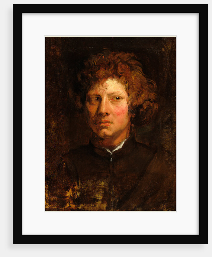 Head of a Young Man by Sir Anthony van Dyck