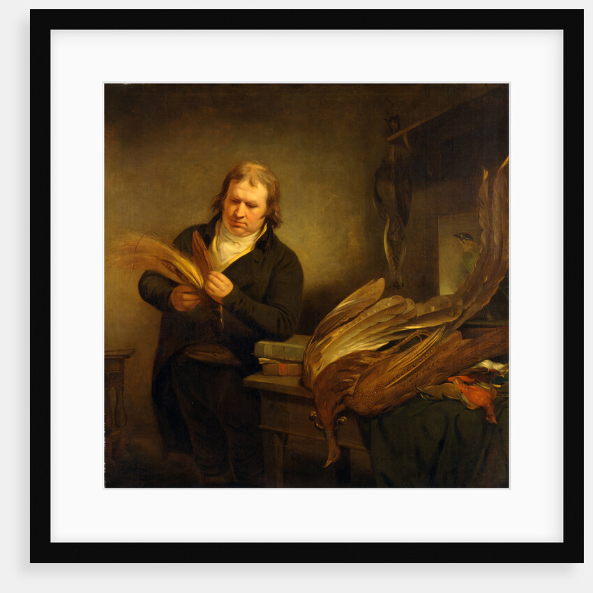 An Ornithologist, Probably John Latham by Ramsay Richard Reinagle
