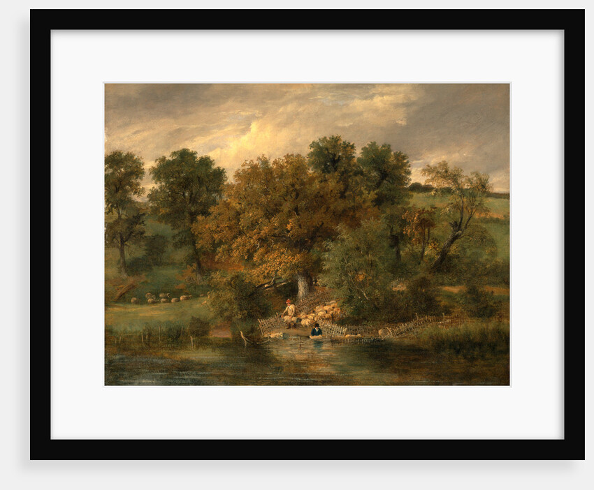 Sheep Washing at Postwick Grove, Norwich by James Stark