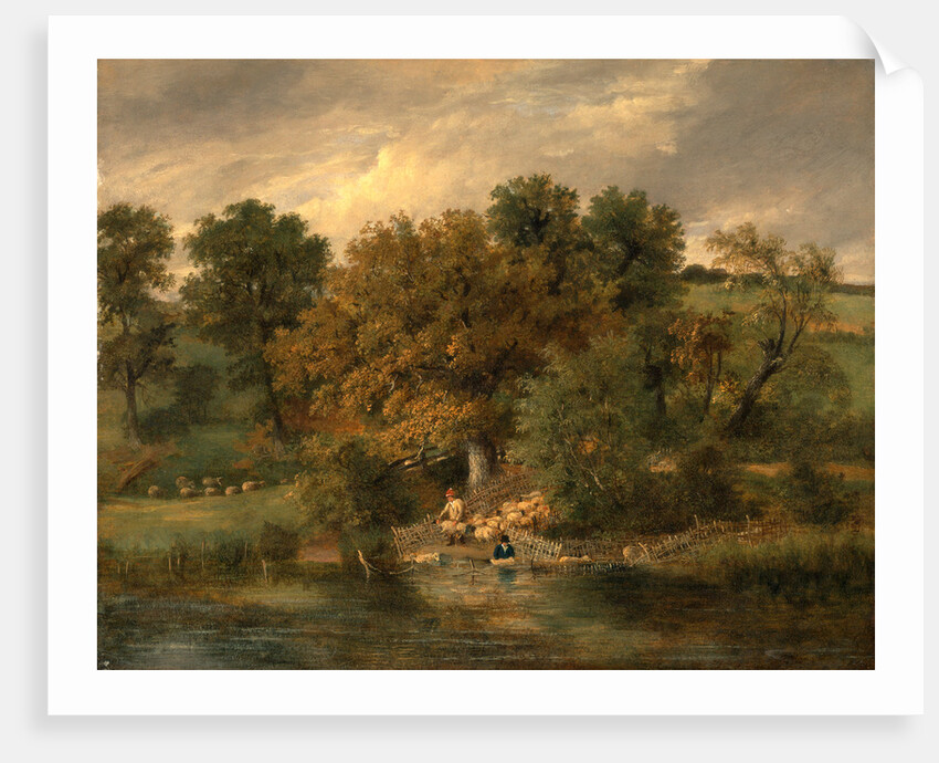 Sheep Washing at Postwick Grove, Norwich by James Stark