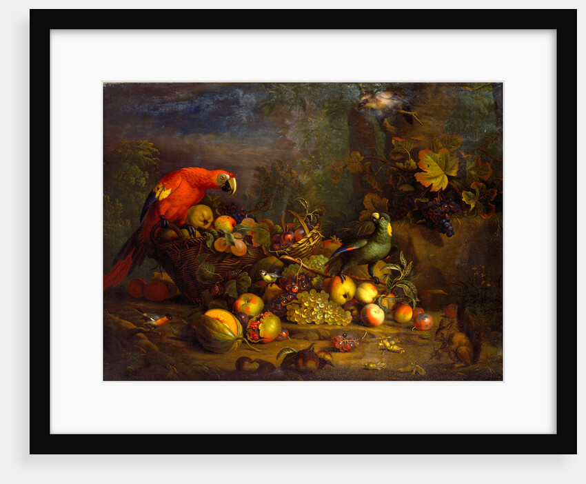 Parrots and Fruit with Other Birds and a Squirrel by Tobias Stranover