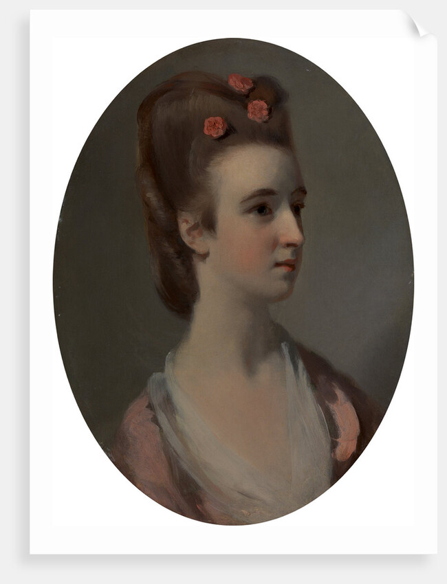 Portrait of a Woman, Possibly Miss Nettlethorpe A Young Woman Called Miss Nettlethorpe by Henry Walton