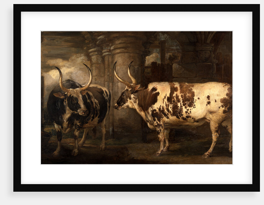 Portraits of two extraordinary oxen, the property of the Earl of Powis by James Ward