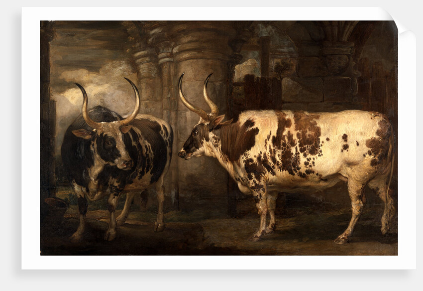Portraits of two extraordinary oxen, the property of the Earl of Powis by James Ward