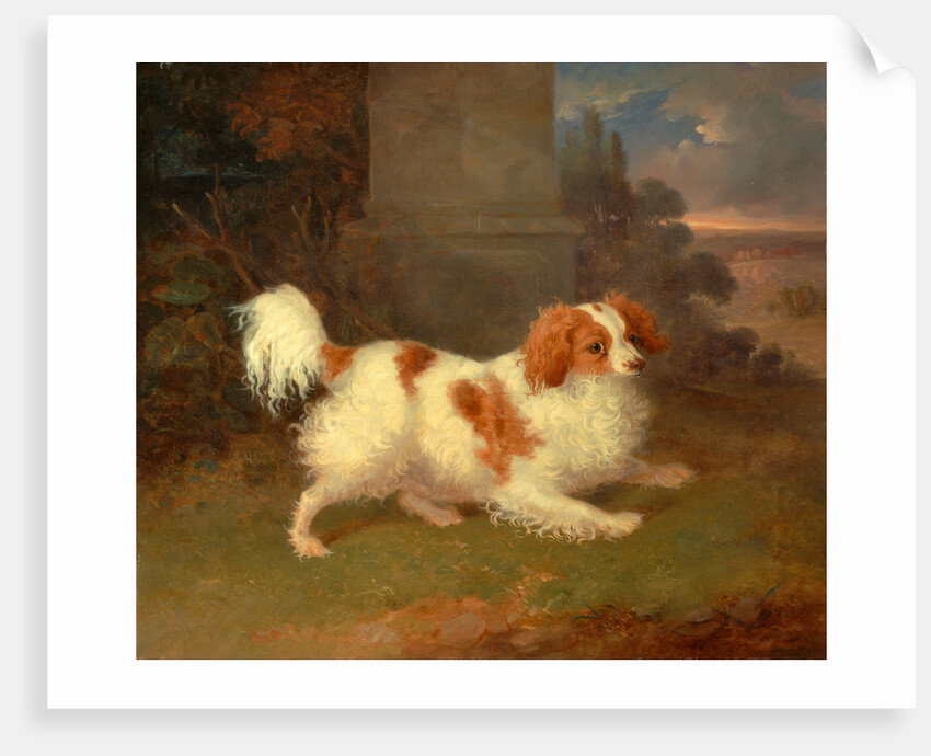 A Blenheim Spaniel, William Webb, ca. 1780-1845 by William Webb