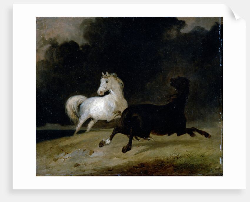 Horses in a Thunderstorm by Thomas Woodward