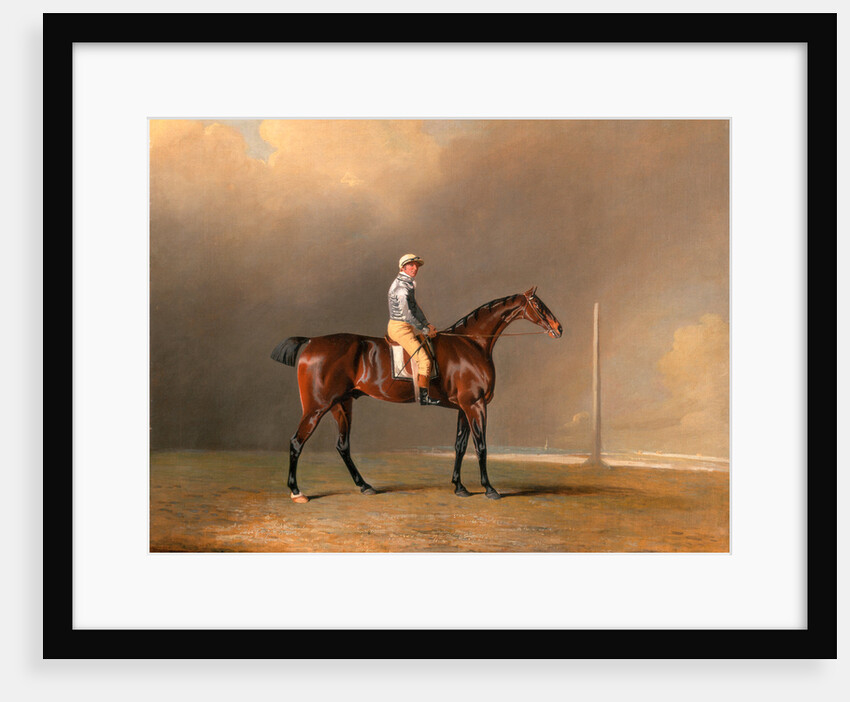 Diamond, with Dennis Fitzpatrick Up by Benjamin Marshall