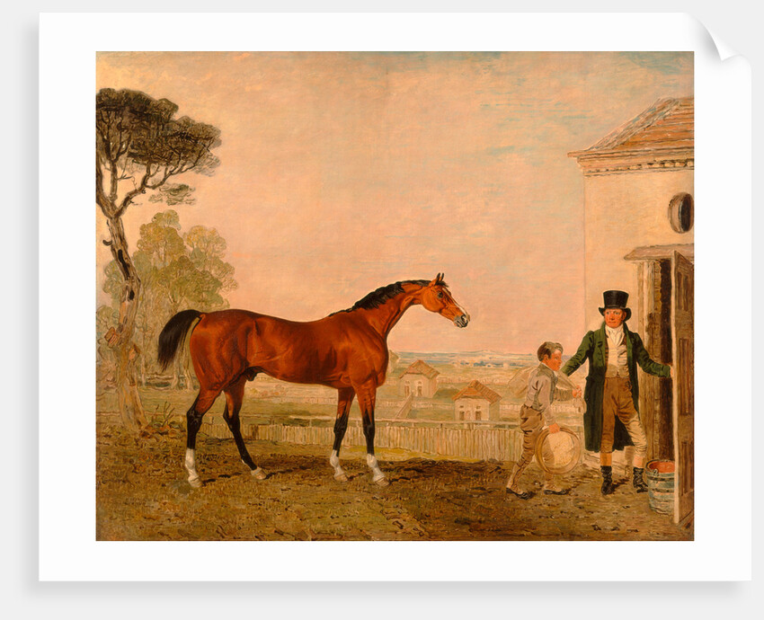 Sultan' at the Marquess of Exeter's Stud, Burghley House by Lambert Marshall