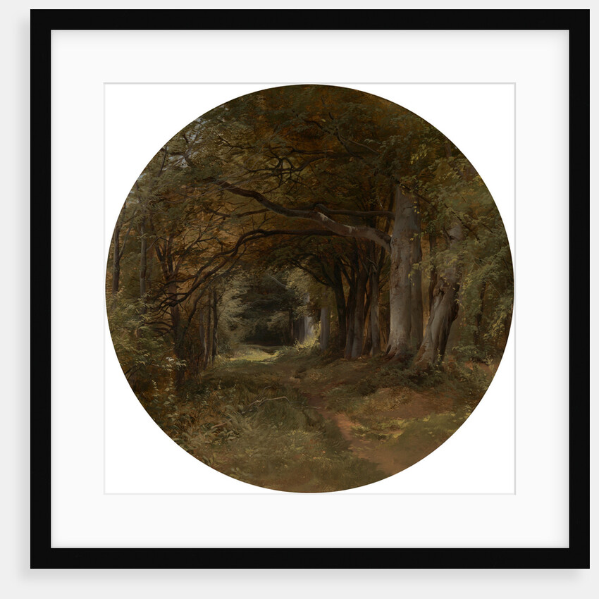 Landscape Gunton Park - A Beech Glade by John Middleton