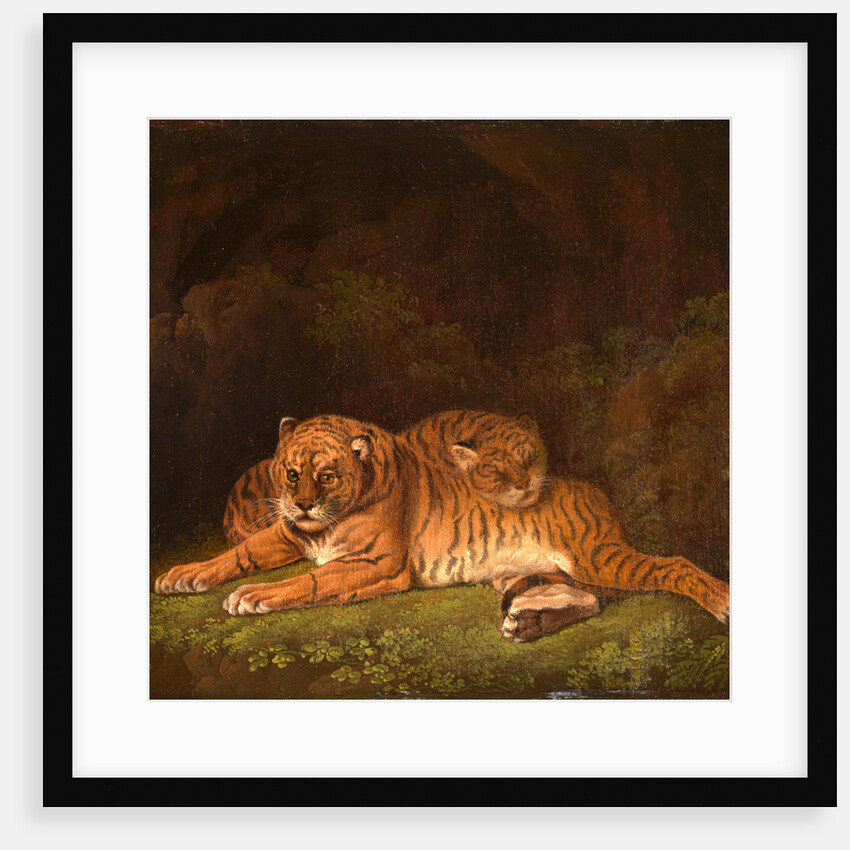 Tigers by Charles Towne