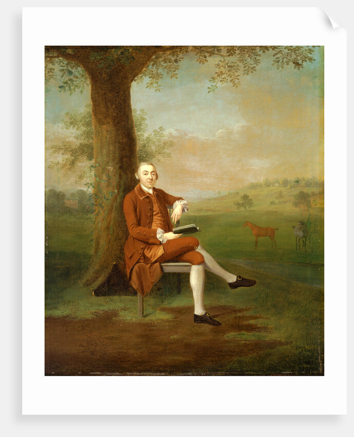 (?) John Trevor, 3rd Baron Trevor, of St. Anne's Hill, Surrey, and Trevalyn Hall, Denbighshire (formerly T. Travers, Esq.) by Arthur Devis