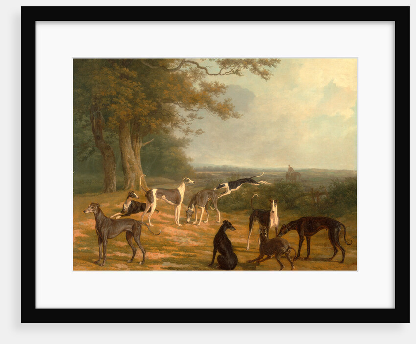 Nine Greyhounds in a Landscape by Jacques-Laurent Agasse