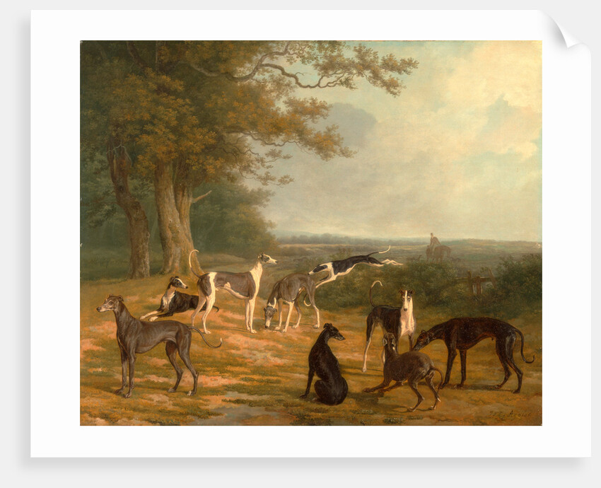 Nine Greyhounds in a Landscape by Jacques-Laurent Agasse