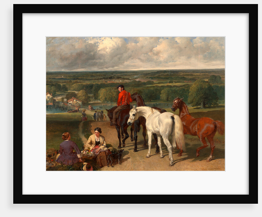 Exercising the Royal Horses by John Frederick Herring