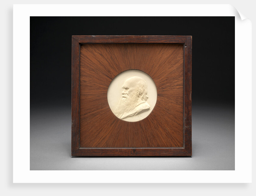 Charles Darwin by Alphonse Legros