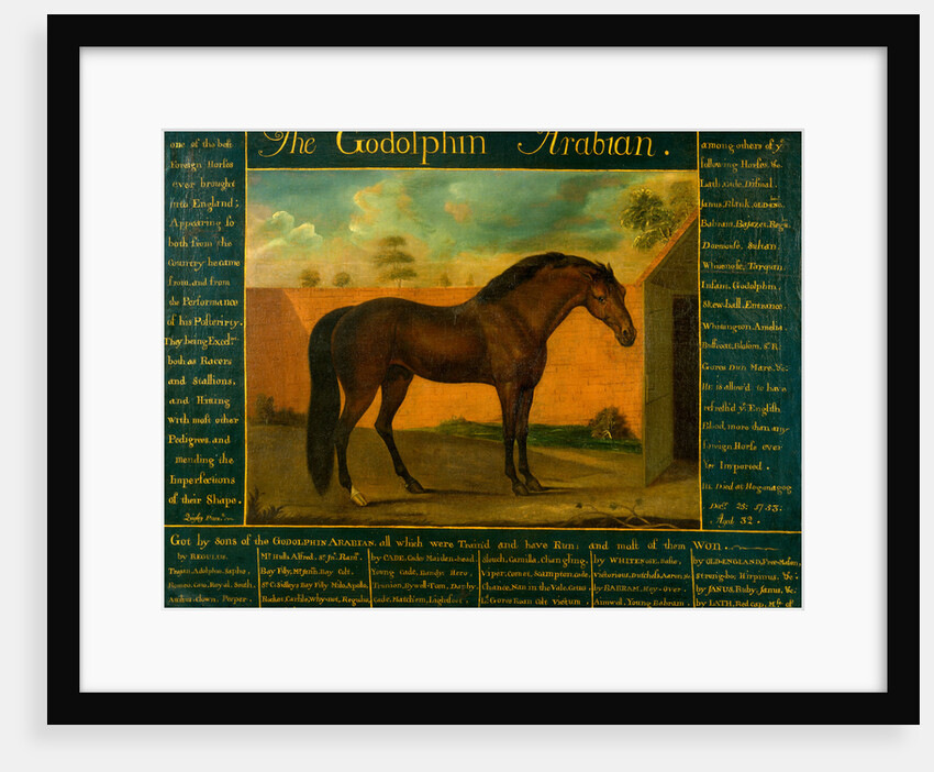 The Godolphin Arabian by Daniel Quigley
