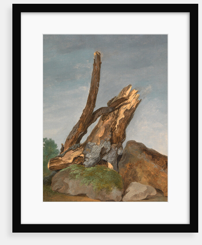 Study of Rocks and Branches by George Augustus Wallis