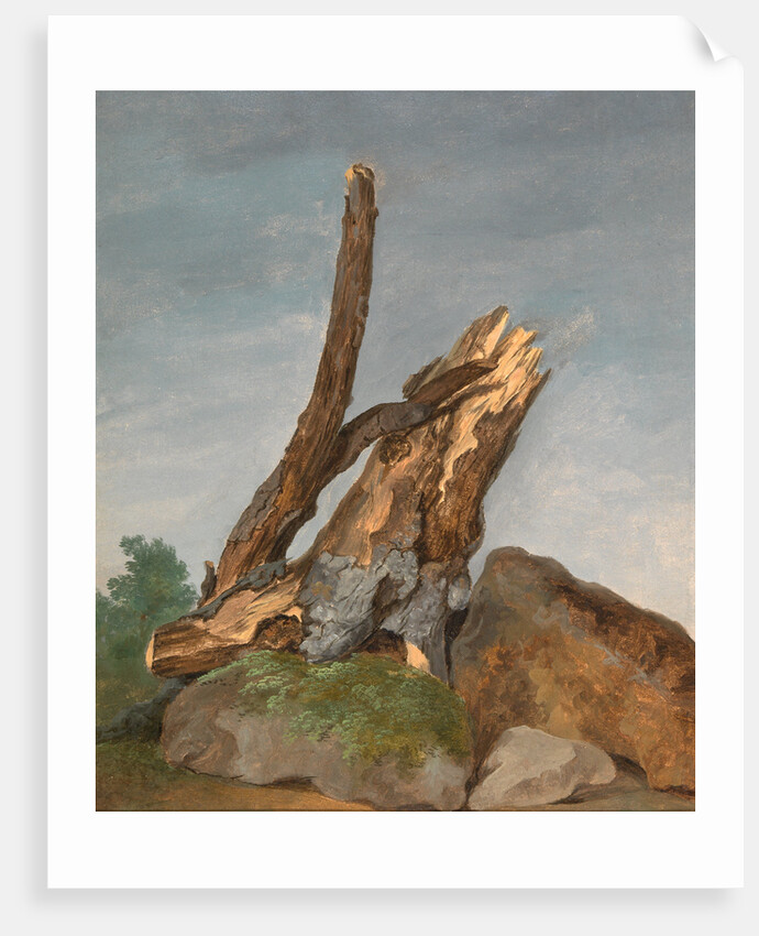 Study of Rocks and Branches by George Augustus Wallis