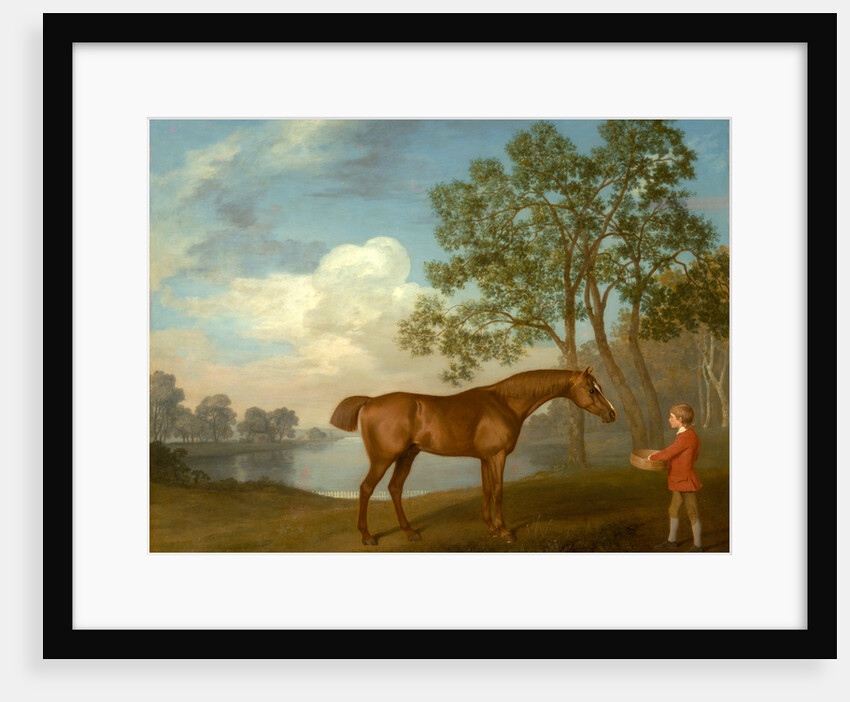 Pumpkin with a Stable-lad by George Stubbs