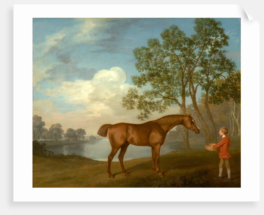 Pumpkin with a Stable-lad by George Stubbs
