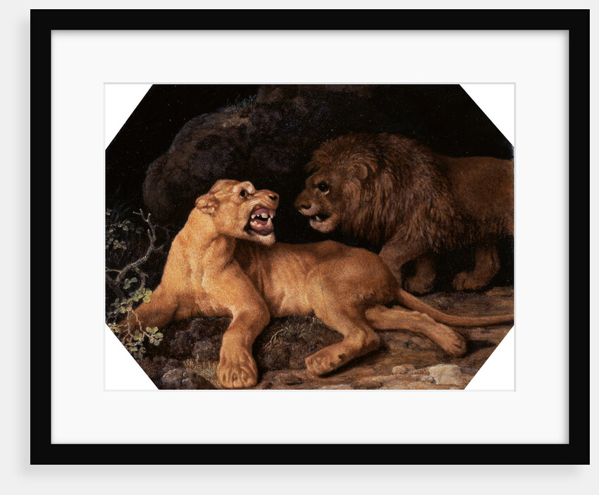 Lion and Lioness by George Stubbs