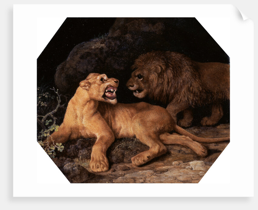 Lion and Lioness by George Stubbs