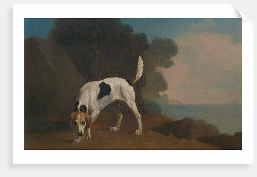 Foxhound Foxhound on the Scent by George Stubbs
