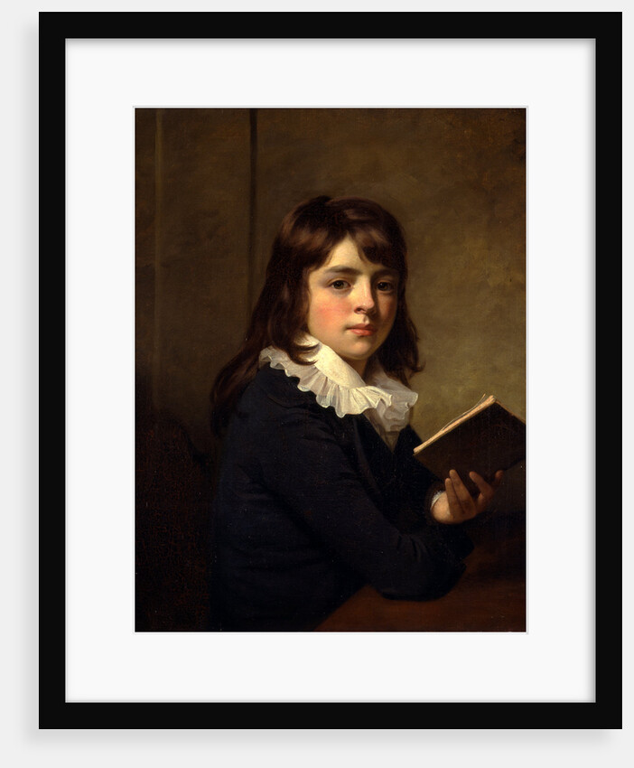 Portrait of a Boy An Unknown Boy by Sir William Beechey