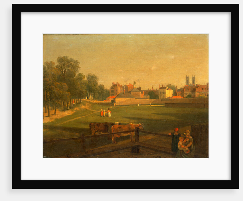 A Western View of part of Westminster and Bird Cage Walk taken from the Mill House by George Arnald