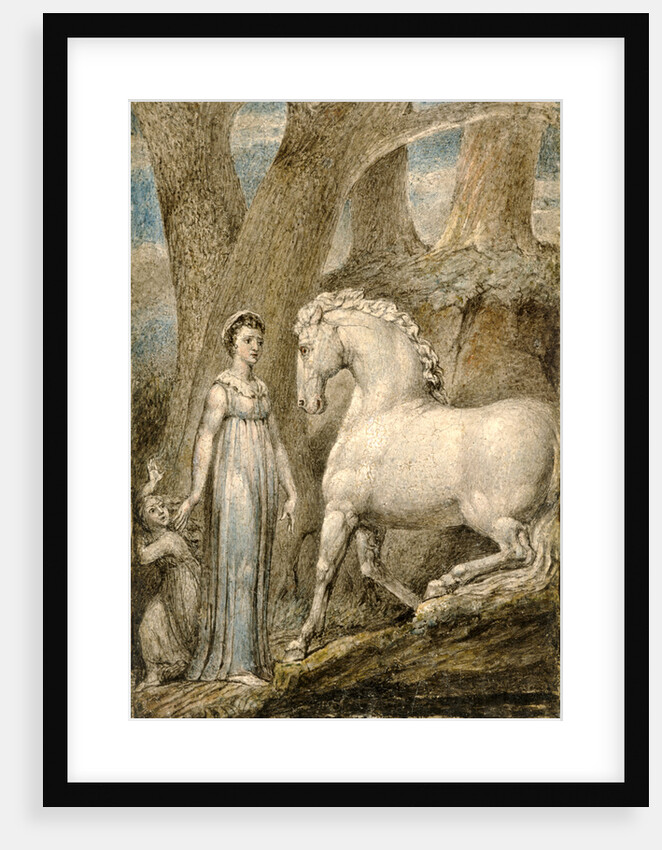 The Horse by William Blake