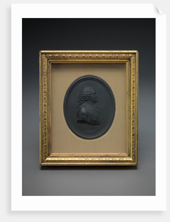 Sir Charles Linnaeus by Josiah Wedgwood