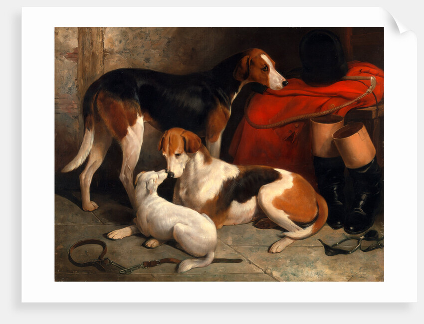 A Couple of Foxhounds with a Terrier by William Barraud