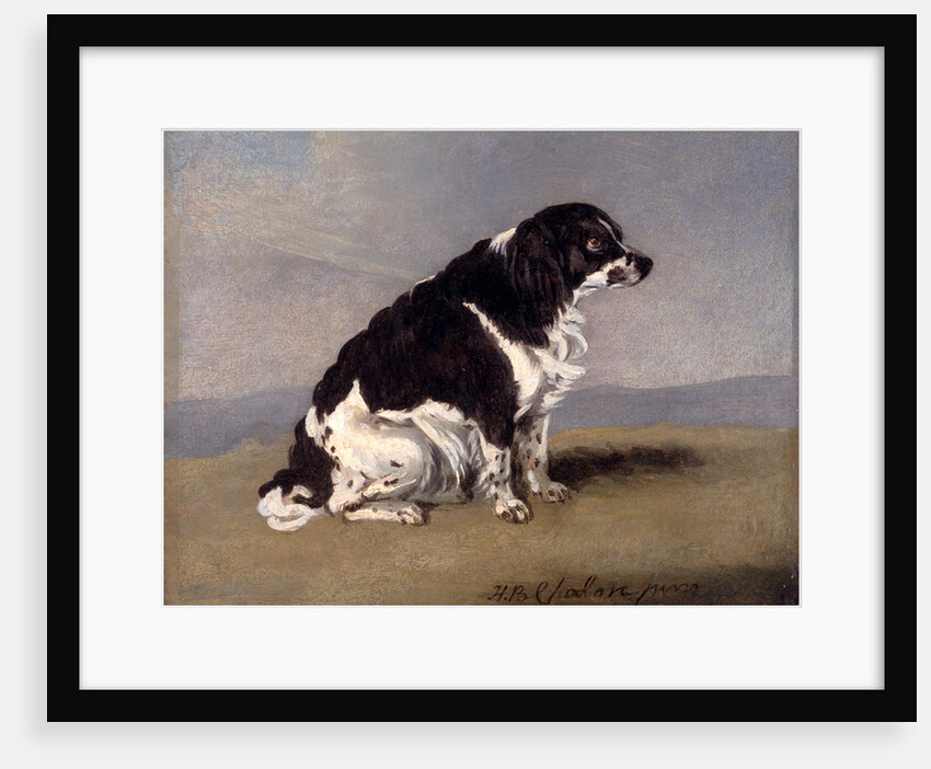 The Duchess of York's Spaniel by Henry Bernard Chalon
