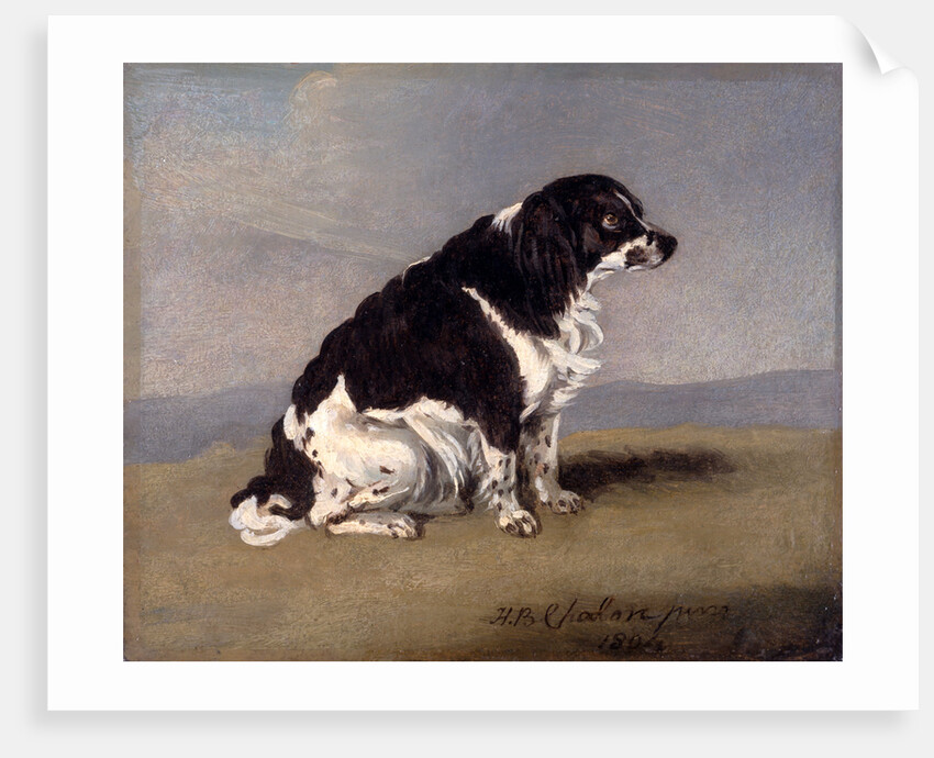 The Duchess of York's Spaniel by Henry Bernard Chalon
